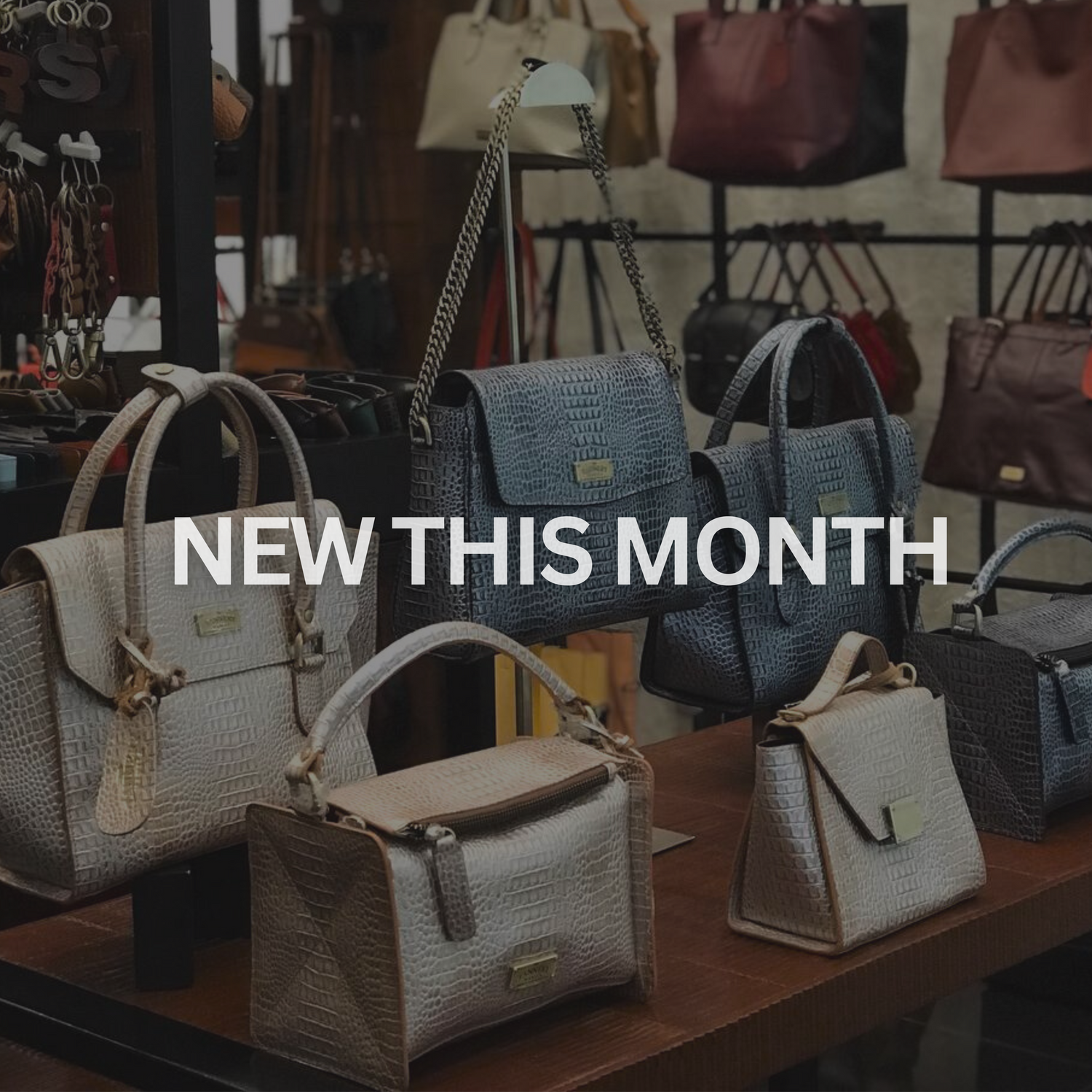 NEW this MONTH