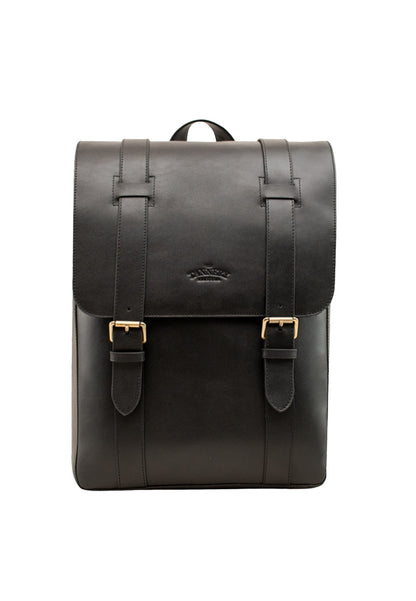 Franklin, Sable Black